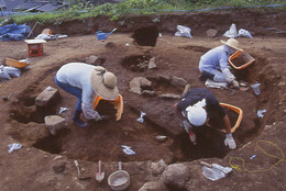 遺跡発掘調査の様子の画像
