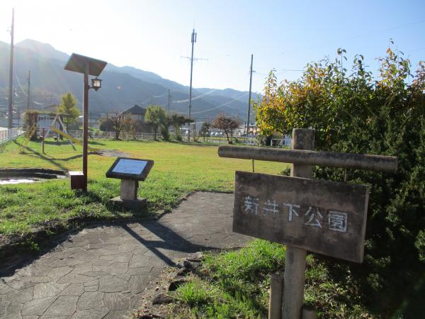 新井下公園の写真