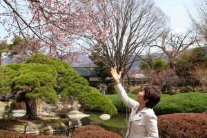 高島公園桜の開花宣言