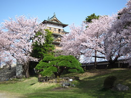 春の高島城の画像