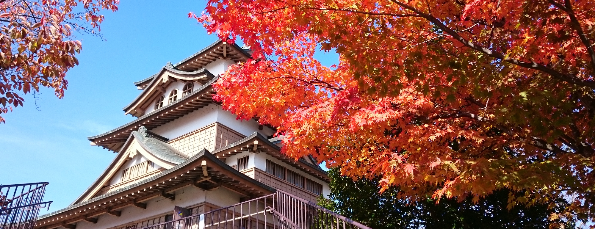 高島城紅葉