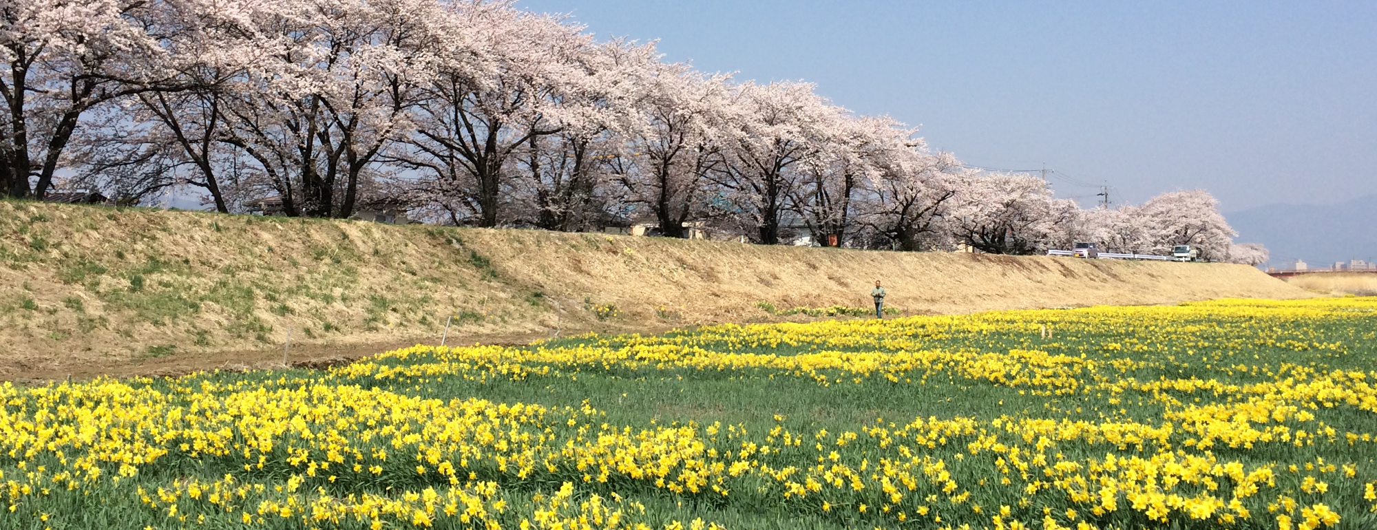 上川