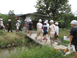 遊歩道をたどるの画像