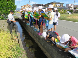 地域学習（4年）の画像