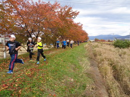 宮川の土手を走る5年生の画像