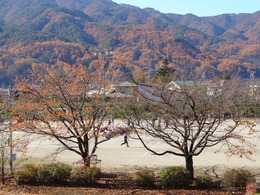 美しい紅葉の中、温かい声援をいただいてゴールの画像