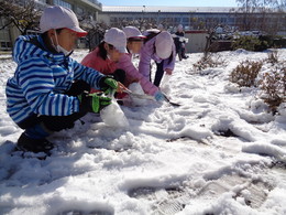 1キログラムの雪を集めるの画像