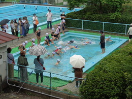 1年生プール参観の画像