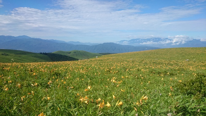 霧ヶ峰