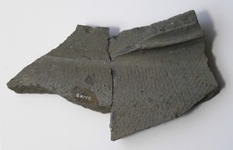群馬県域で生産された可能性がある須恵器の大甕　断面三角状の粘土貼り付けが特徴の画像