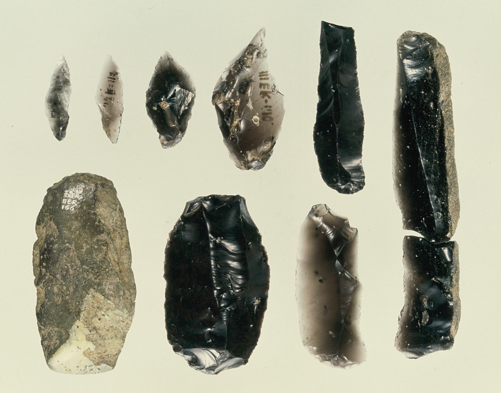 黒曜石製石器と蛇紋岩製局部磨製石斧の画像
