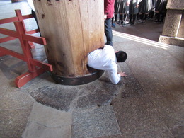 鼻の穴をくぐり抜けられるかの画像