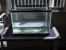 カルキ抜き準備の画像