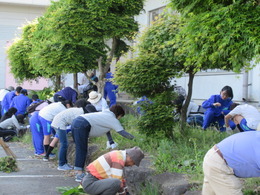 PTA作業が行われましたの画像