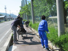 側溝の泥上げの画像