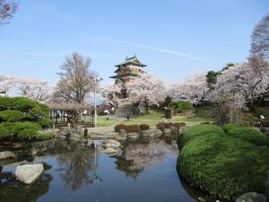 園内の桜と高島城の写真