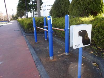 諏訪中央公園の健康遊具