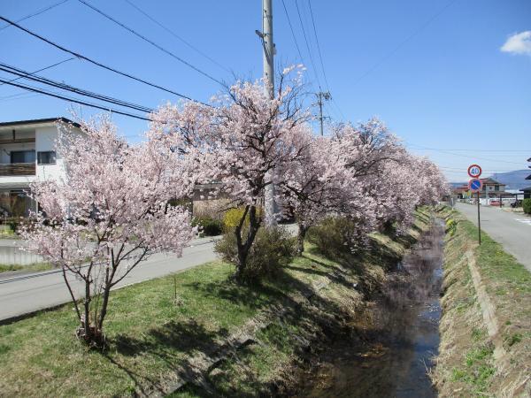 宮川公園の写真