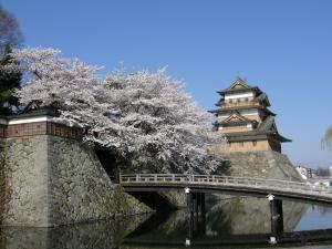 桜と高島城