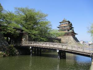 高島公園桜3