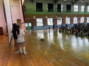 6学年