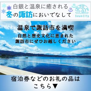 冬の諏訪においでなして