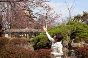 3月30日 高島公園桜の開花宣言