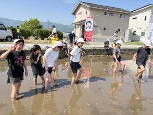裸足で田植えの様子