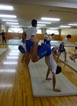 準備運動―カエルの足うちの画像