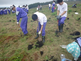 植栽の様子の画像2