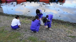 諏訪湖清掃の様子の画像2