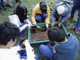 冬を越して芽が出ますようにの画像