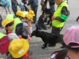 大きいねの画像