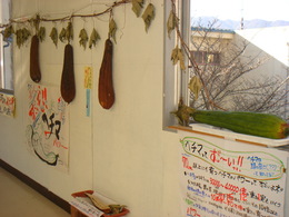 四賀小学校ヘチマ展示の画像