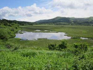 八島ヶ原湿原（八島ヶ池）