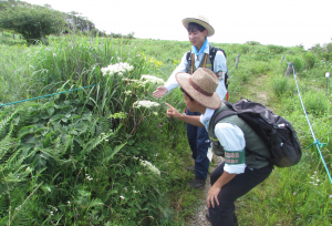 植生を確認するパトロール員