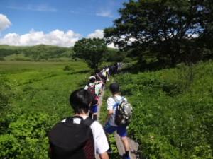 ニッコウキスゲや様々な植物を見ながら八島湿原を歩く生徒たち。