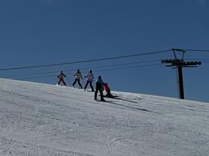 スキーを楽しむ子ども