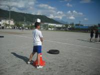 たいいくさいりはに