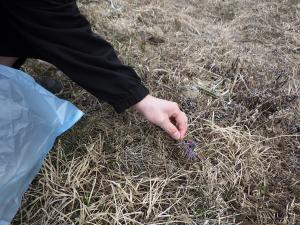 (5)地域貢献活動(3)