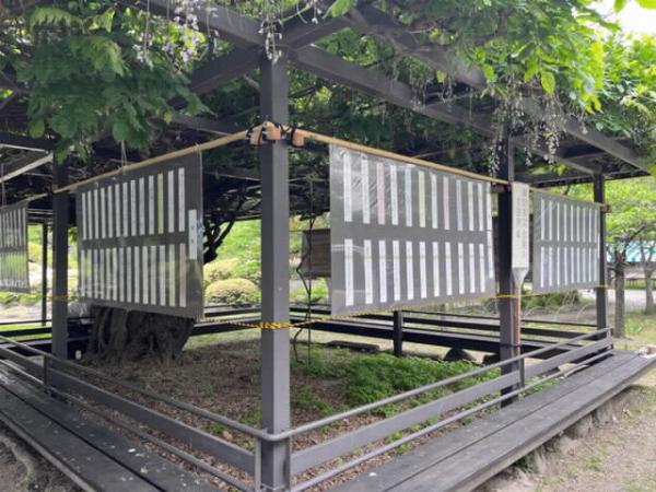 過去の高島城祭で展示した作品の様子
