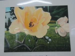 黄色薔薇　絵