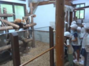 茶臼山動物園