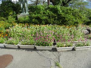 (2)花壇1
